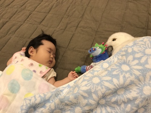 S__9199629.jpgのサムネイル画像